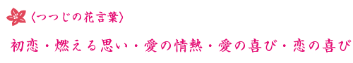 〈つつじの花言葉〉初恋・燃える思い・愛の情熱・愛の喜び・恋の喜び