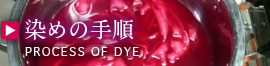 染めの手順